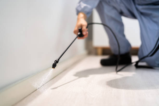 Licensed Pest Control service in Frankfort, MI - Show Me Pest Control