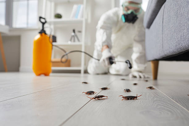 Commercial Kitchen Cockroach Control in Frankfort